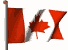 Canada's Flag!